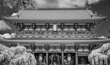 Sensoji Tapınağı Asakusa Tapınağı Tokyo - olarak da adlandırılan gezi fotoğrafçılığı