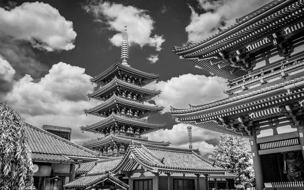 Magnifique Tour Pagode Temple Senso Tokyo Asakusa Photographie Voyage — Photo