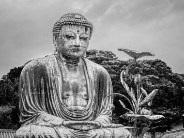 Dünya ünlü Daibutsu Buda - Kamakura büyük Buda heykeli - gezi fotoğrafçılığı