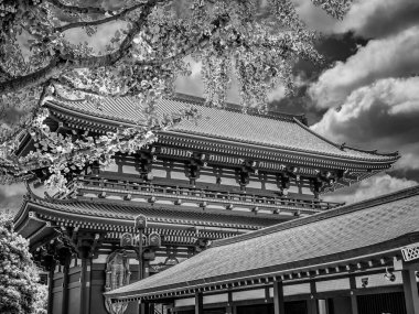 Sensoji Tapınağı Asakusa Tapınağı Tokyo - olarak da adlandırılan gezi fotoğrafçılığı