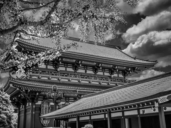 Tempio Sensoji Chiamato Anche Tempio Asakusa Tokyo Fotografia Viaggio — Foto Stock