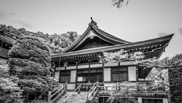 Templo Com Jardim Japonês Kamakura Viagens Fotos — Fotografia de Stock