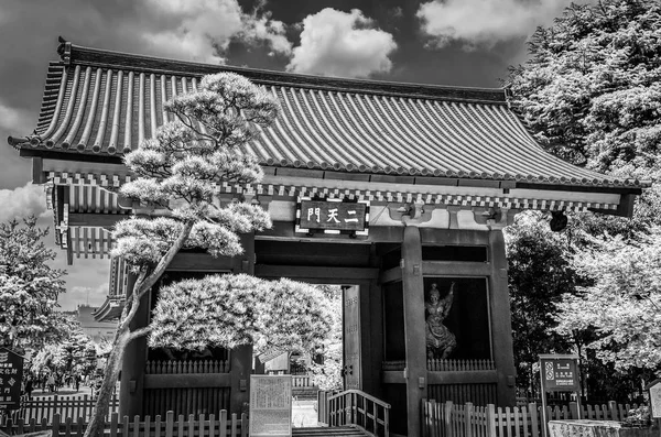 Magnifique Temple Tokyo Temple Asakusa Sensoji Photographie Voyage — Photo