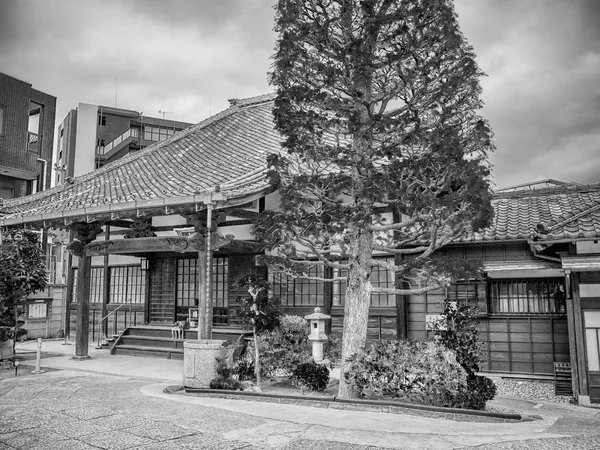 Священнґ Дерев Nezu Відомого Shinto Shrine Районі Bunkyo Токіо Подорожах — стокове фото