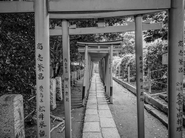 Santuário Nezu Jinja Famoso Santuário Xintoísmo Tóquio Bunkyo Viagens Fotos — Fotografia de Stock