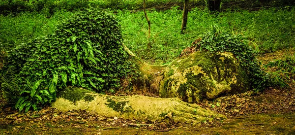 美しい彫刻の森 ヘリガン 眠っている女性 コーンウォール イギリス 2018 — ストック写真