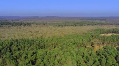 Yukarıdan İngiltere'de Yeni Orman Milli Parkı - havadan görünümü