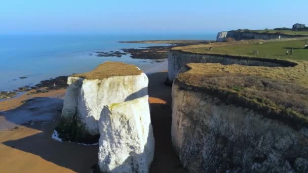 Λευκά Βράχια Και Πέτρες Κιμωλία Στο Βοτανικό Κόλπο Της Αγγλίας — Αρχείο Βίντεο