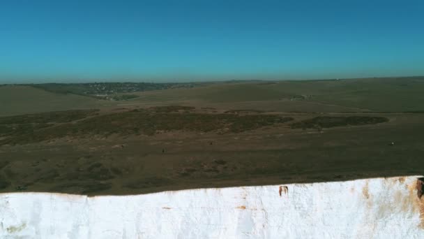 Vlucht Prachtige Witte Kliffen Aan Zuid Engelse Kust Luchtfoto — Stockvideo