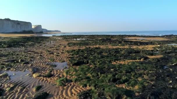 Flight Botany Bay Its White Cliffs Kent Aerial View — Stock Video