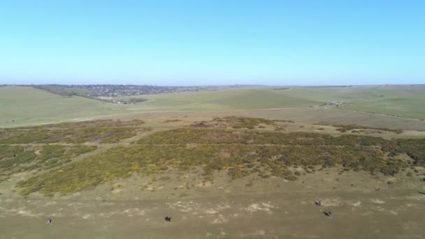 Vuelo Sobre Los Acantilados Blancos Costa Sur Inglaterra Vista Aérea — Vídeo de stock