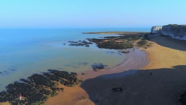 上からイギリスの美しい植物の湾とチョークの岩 — ストック動画