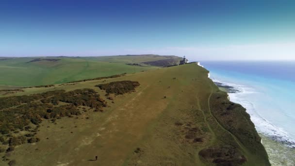Lot Nad Białymi Klifami Południowo Anglii Wybrzeża Widok Lotu Ptaka — Wideo stockowe