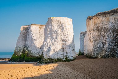 Kent güzel botanik koyda  