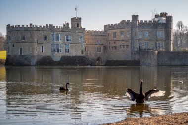 İngiltere - Kent, İngiltere - 27 Şubat 2019'ünlü Leeds Castle