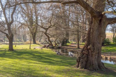 Leeds Castle İngiltere - Kent, İngiltere - 27 Şubat 2019'güzel bahçeleri