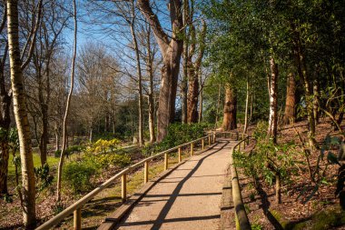 Leeds Castle İngiltere'de - güzel bahçeleri gezi fotoğrafçılığı