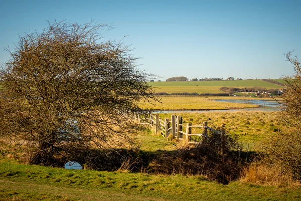 Seven Sisters Country Park Costa Sur Inglaterra Cerca Eastbourne Fotografía —  Fotos de Stock