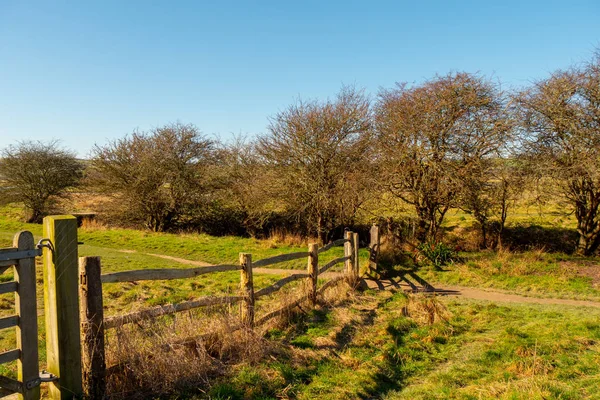 Seven Sisters Country Park South Coast England Eastbourne Travel Photography — Stock Photo, Image