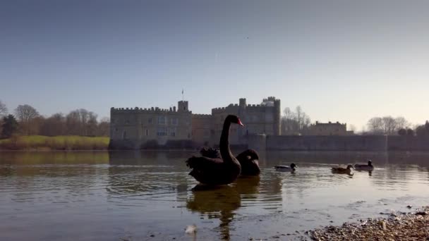 Замок Лидс в Англии — стоковое видео