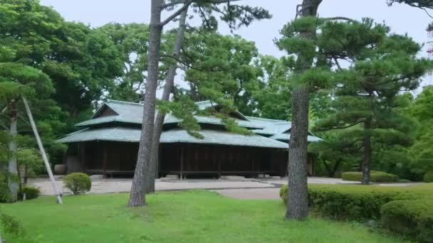 Imperial Palace Park in Tokyo — Stock Video