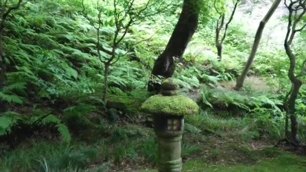 Japonya bir bambu ormanda yürürken — Stok video