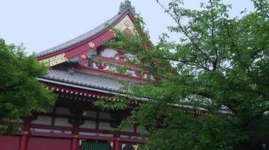 Tokyo 'daki en ünlü tapınak Asakusa' daki Senso-Ji Tapınağı.