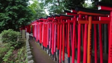 Nezu Jinja tapınak Tokyo ünlü kırmızı kapı yolu