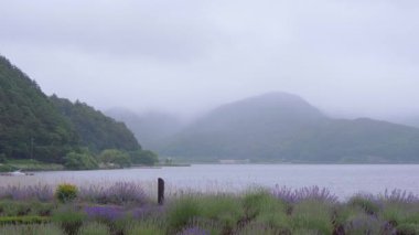 Göl Kawaguchiko, Japonya - ünlü: Fujiyama Fuji Dağı