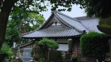 Nezu Jinja tapınak Tokyo ünlü kırmızı kapı yolu