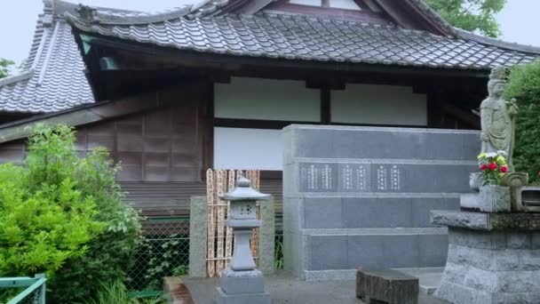 O famoso caminho do portão vermelho do Santuário de Nezu Jinja em Tóquio — Vídeo de Stock