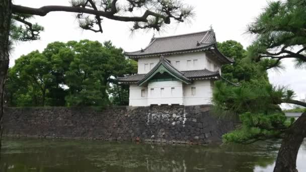 Parc du Palais impérial à Tokyo — Video