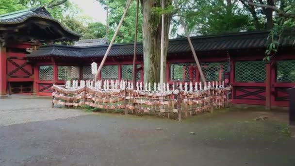 Nezu Jinja helgedomen - den berömda Shinto helgedomen i Tokyo Bunkyo — Stockvideo