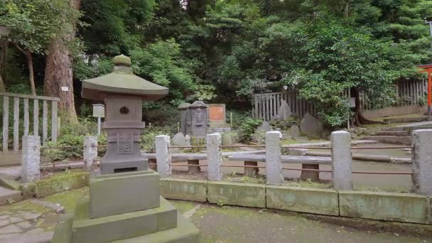 Храм Nezu Jinja - знаменитий храм синтоїзму в Токіо Бункьо. — стокове відео