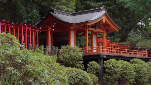 Santuário de Xintoísmo famoso em Tóquio - o Nezu Jinja em Bunkyo — Vídeo de Stock