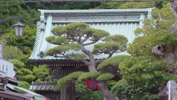 Διάσημος ναός Dera Hase στην Ιαπωνία Καμακούρα — Αρχείο Βίντεο