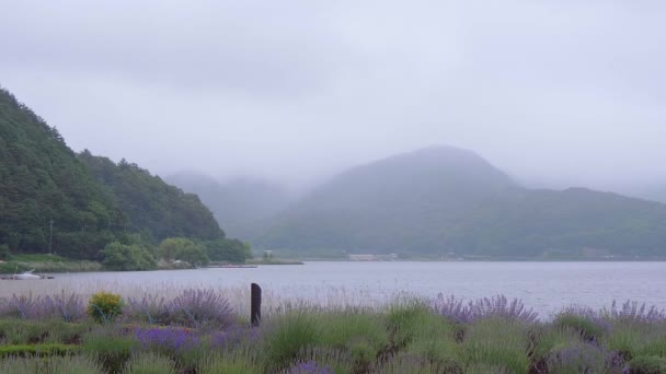 Göl Kawaguchiko, Japonya - ünlü: Fujiyama Fuji Dağı — Stok video