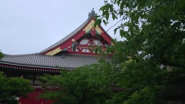 Najbardziej znana świątynia w Tokio - Świątynia Senso-Ji w Asakusa — Wideo stockowe