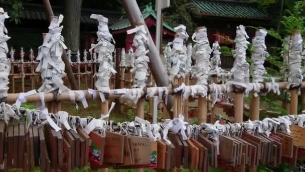 Nezu Jinja helgedomen - den berömda Shinto helgedomen i Tokyo Bunkyo — Stockvideo