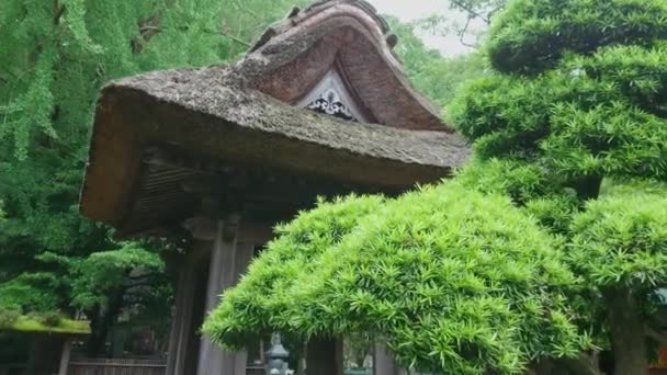 Sino japonês em um templo em Kamakura — Vídeo de Stock