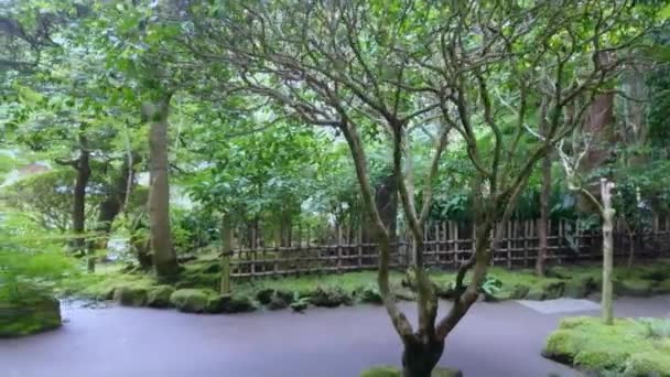 Japan stijl tuin in Kamakura — Stockvideo