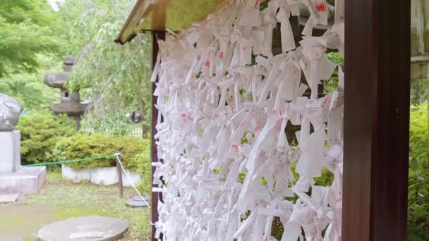 Omikuji - papeles de mala suerte en un templo budista o santuario sintoísta — Vídeos de Stock