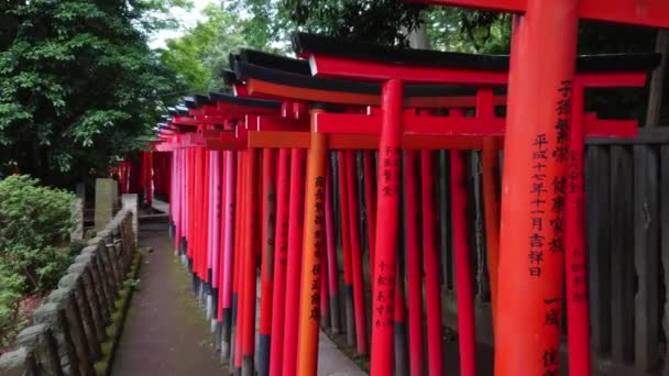 Η διάσημη κόκκινη πόρτα διαδρομή του Nezu Jinja παρεκκλήσι στο Τόκιο — Αρχείο Βίντεο