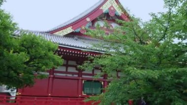 Tokyo 'daki en ünlü tapınak Asakusa' daki Senso-Ji Tapınağı.