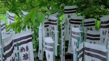 Şinto tapınak Kamakura - ünlü Tsurugaoka Hachiman-gu Tapınak