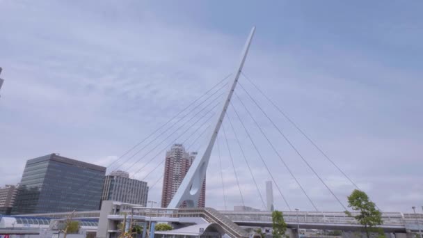 Телепорт мосту в місто Токіо - Токіо, Японія - 12 червня 2018 — стокове відео