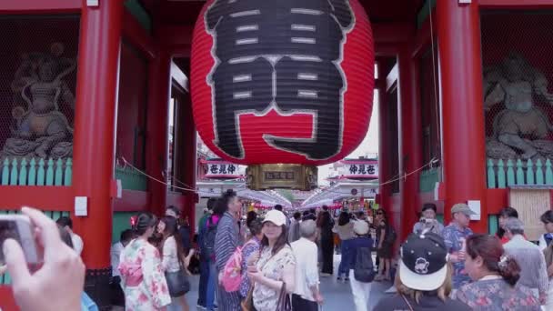 Hutan Bambu di Jepang - tempat yang indah untuk rekreasi - TOKYO, JAPAN - JUNE 17, 2018 — Stok Video