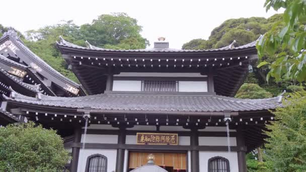 Hase-Dera Tapınağı Kamakura - Tokyo, Japonya - 12 Haziran 2018 — Stok video