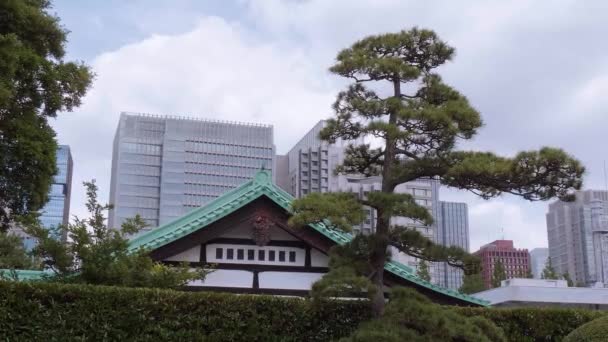 Palácio Imperial Jardins Orientais em Tóquio - TOKYO, JAPÃO - JUNHO 19, 2018 — Vídeo de Stock