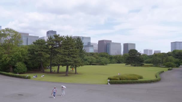 Imperial Palace East tuinen in Tokio - Tokio, Japan - 19 juni, 2018 — Stockvideo